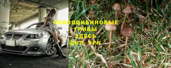 эйфоретик Алзамай