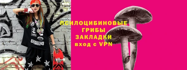 крисы Алексин
