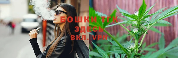 крисы Алексин