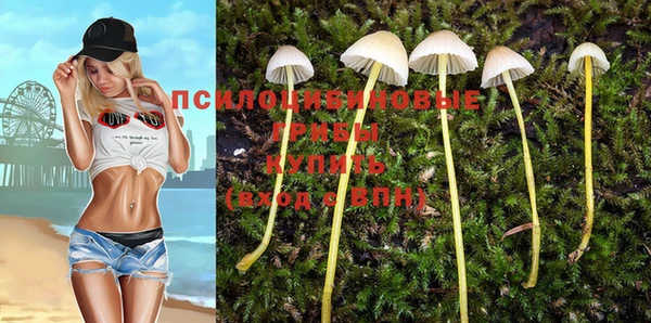 эйфоретик Алзамай