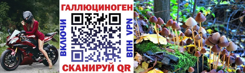 нарко площадка состав  Суровикино  Галлюциногенные грибы мицелий 